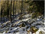 Planina Ravne - Kapelica na Molički planini